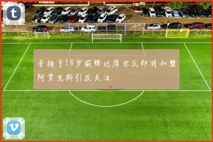 奈梅亨18岁前锋达席尔瓦即将加盟阿贾克斯引发关注